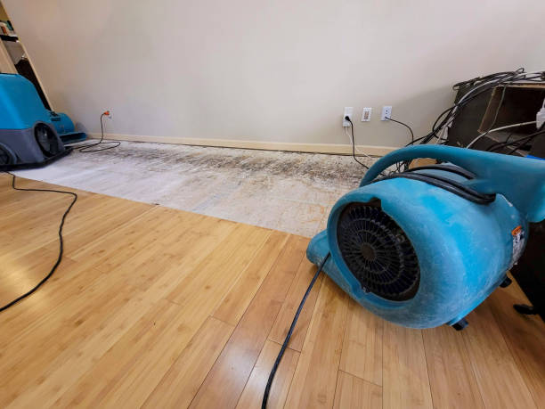 Professional Basement Flood Cleanup technician working in Moss, TN